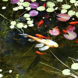 Meet your Posher, Cathy